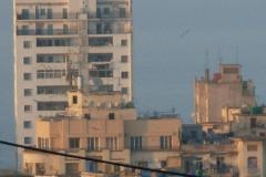 17_lamoriciere_2012