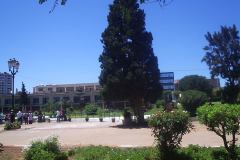 969469_597316306959723_1198627035_n