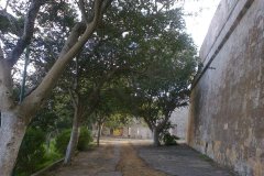 380448_206543009427945_2018974685_n