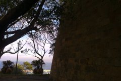 380930_206541426094770_1255202544_n