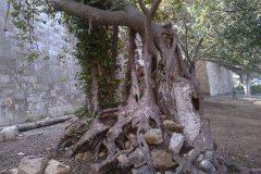 386014_206545652761014_444565373_n