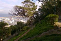 386480_206542619427984_1574346944_n