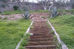 386667_206548066094106_1950461324_n