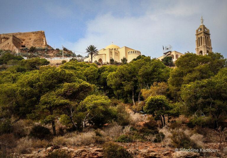 Les Pins d&rsquo;Alep de Victor-Palmyre Laporte