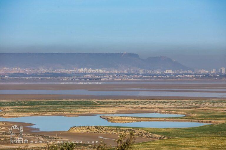 La grande Sebkha d&rsquo;Oran