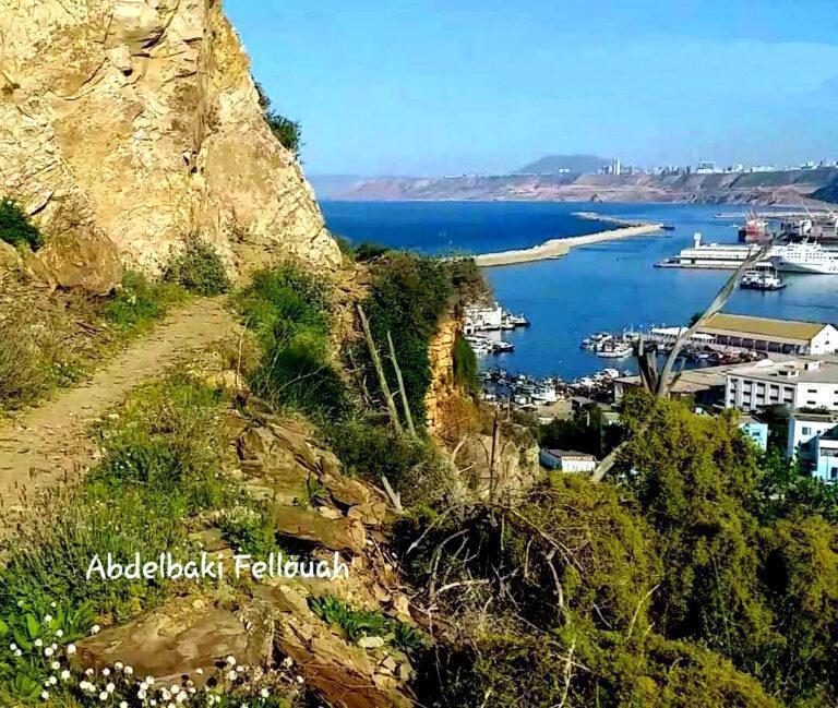 Le Caminico la muerte