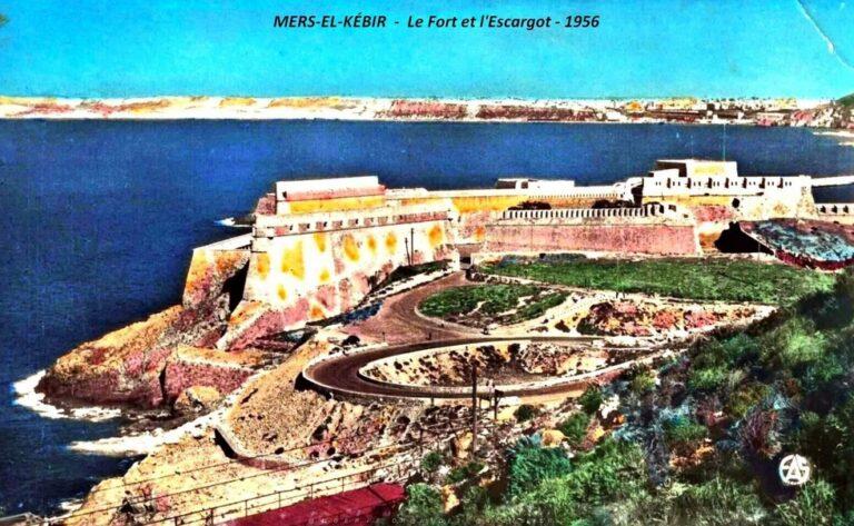 escargot mers el kebir carte postale