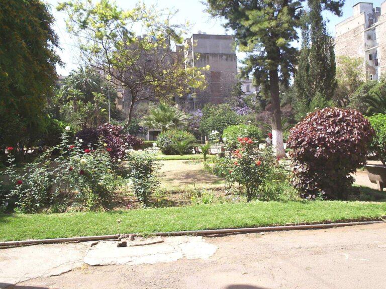 Un secteur d&rsquo;Oran qui tourne autour de l&rsquo;urbaniste Émile Cayla