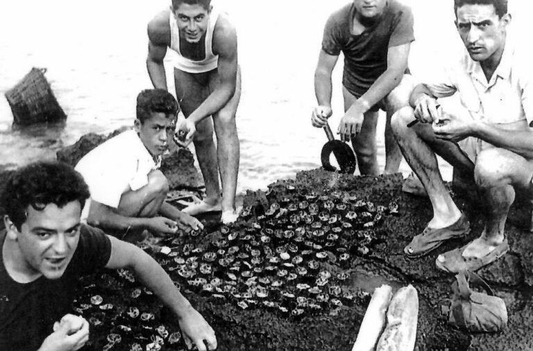 La pêche aux oursins