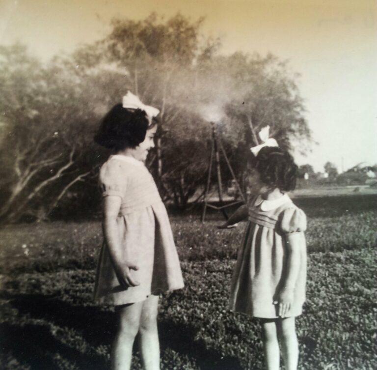 Psychogénéalogie des origines familiales