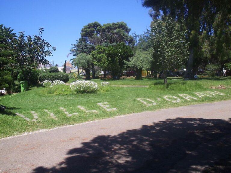 Floralies 2013, parcs et jardins : un peu de verdure sur el-Hamri