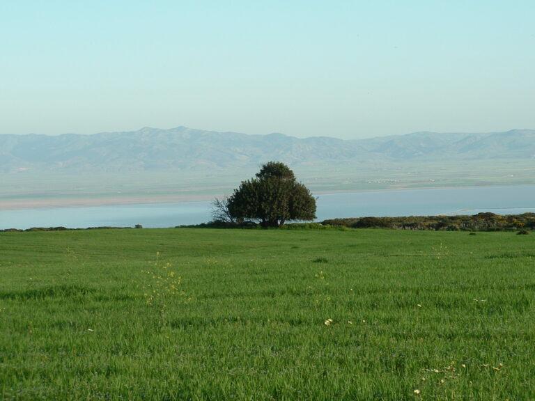 Les zones humides algériennes classées Ramsar