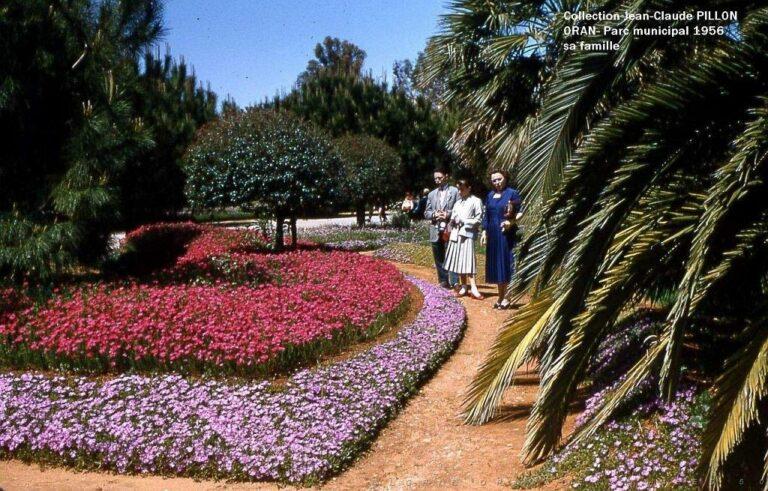 Le blog de Valérie Martinez : fille de pieds-noirs