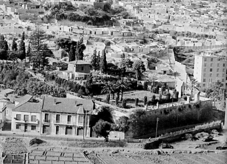 La Vierge de l&rsquo;Oranie au XIX° siècle par M. le Chanoine Mathieu