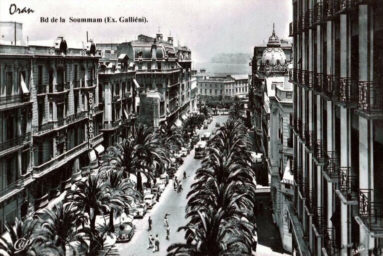 Ce dessin est de la main du Docteur Thomas Ghast