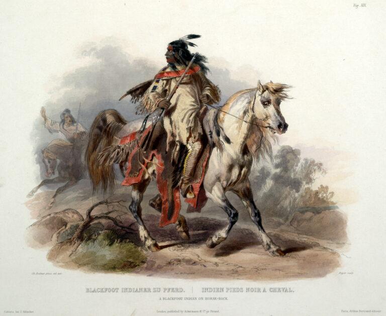 Géographie des territoires pieds-noirs